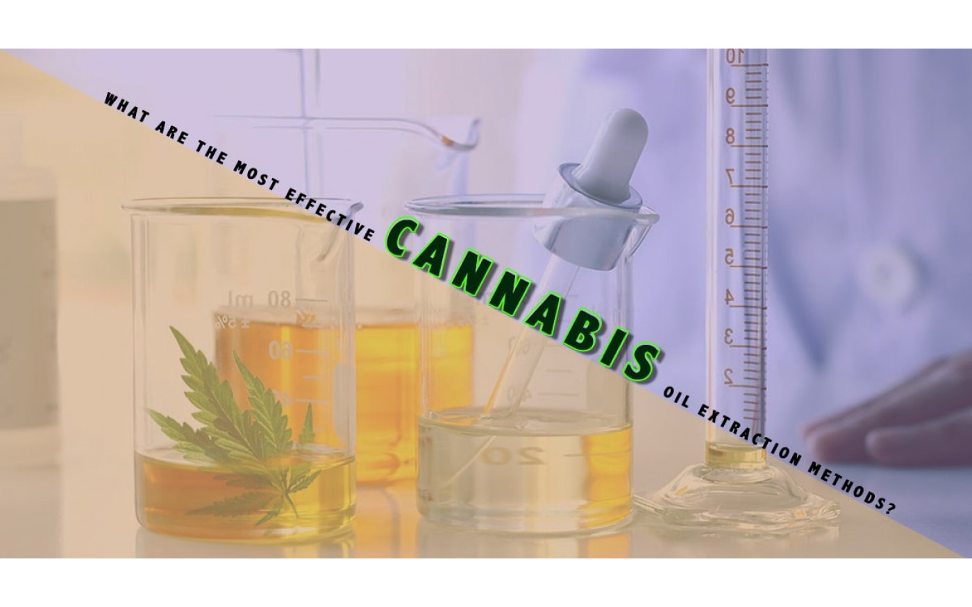 What Are The Most Effective Cannabis Oil Extraction Methods?